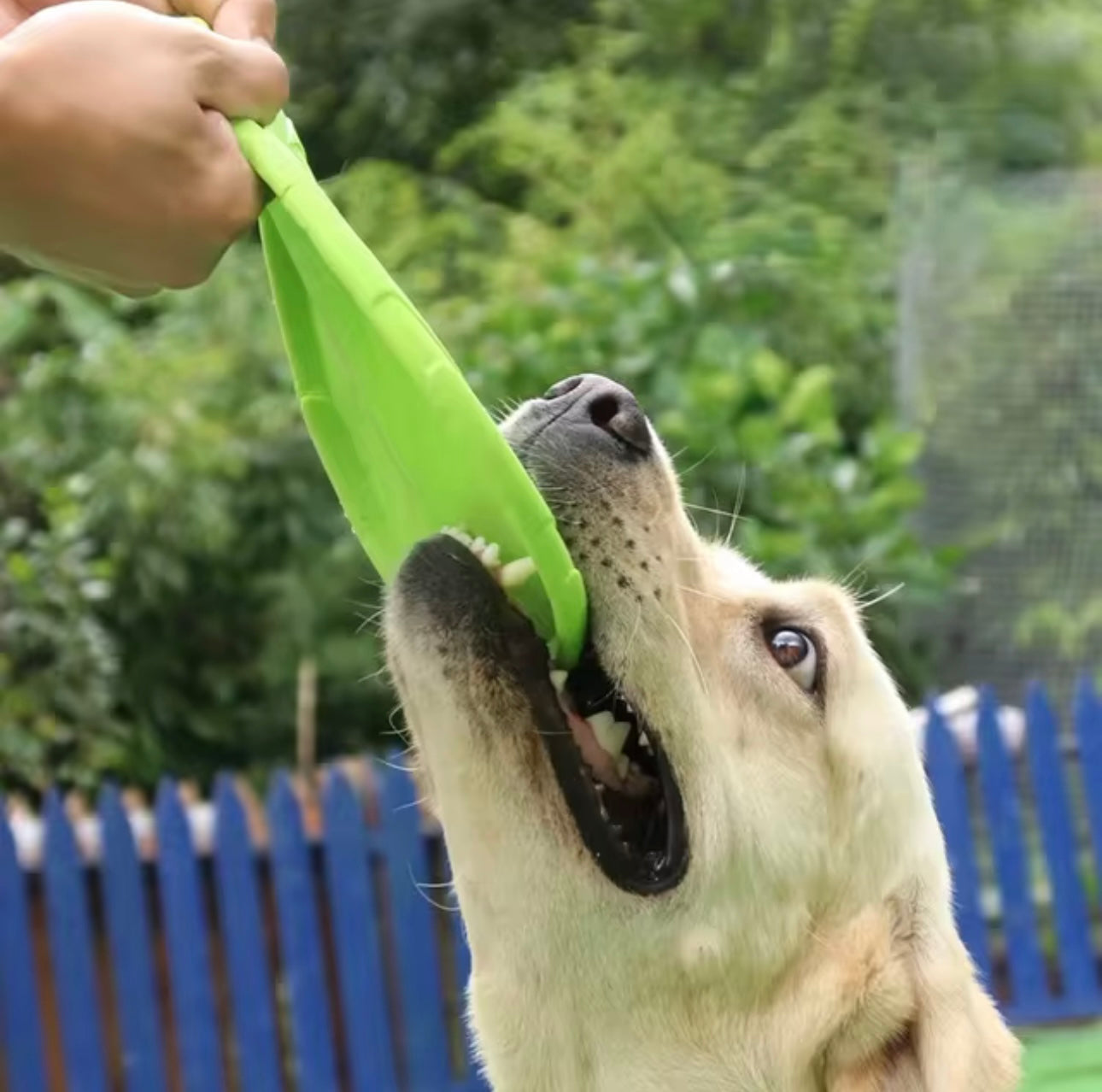 3 in 1 Hunde Frisbee