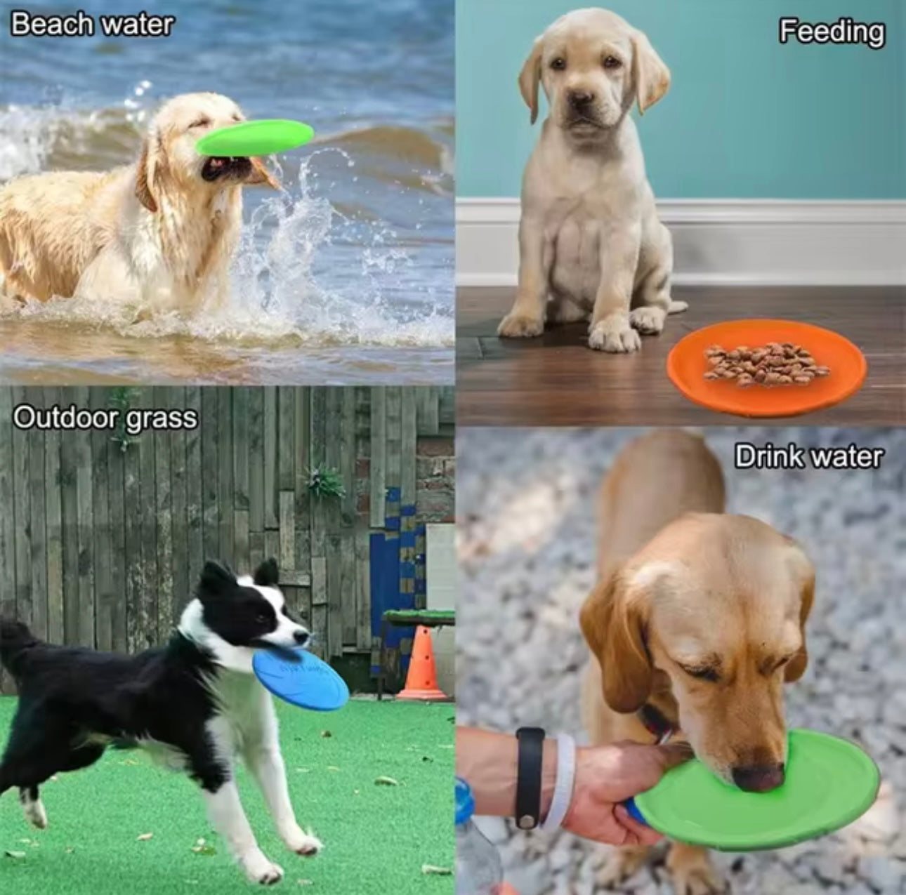 3 in 1 Hunde Frisbee