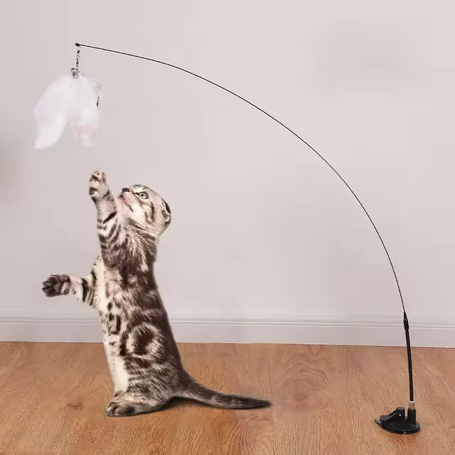 Freihändiger Katzenstab