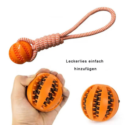 Hundeknoten mit Leckerlie